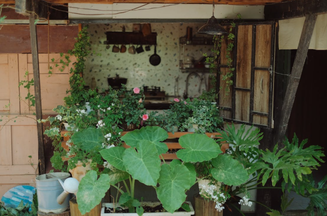 Kitchen Garden